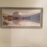 보우니스 게스트하우스 게스트하우스 3*